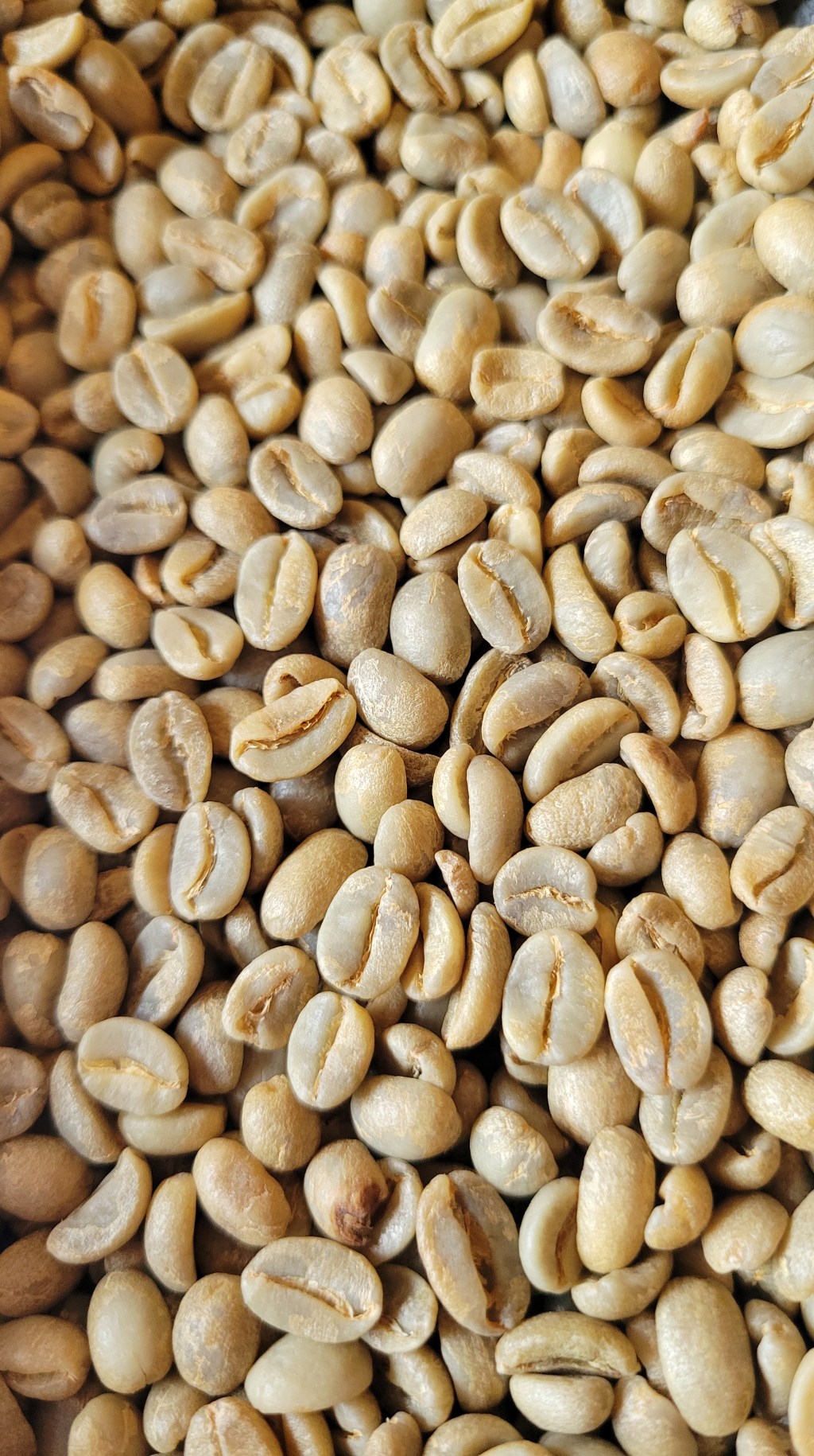 Coava Coffee Roasters – CoFFee Tasting (Drip &&nbsp;Espresso)